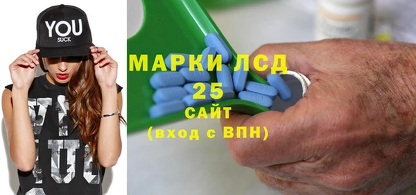 прущие грибы Бугульма