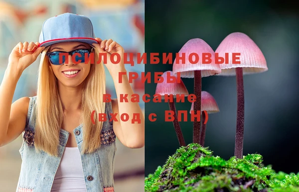 мескалин Бородино