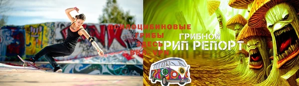прущие грибы Бугульма
