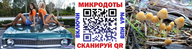 Галлюциногенные грибы GOLDEN TEACHER  Кимовск 